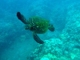 Maui Activities
