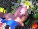 Maui Activities